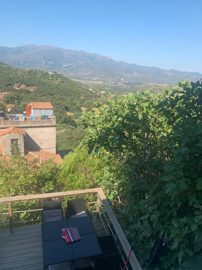 Maison Typique Corse Oletta  Exterior foto